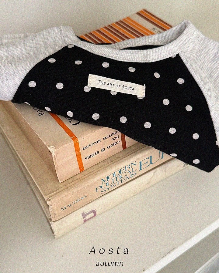 dot raglan T