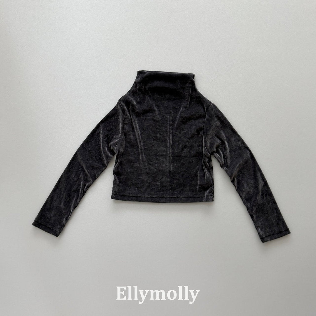 Elly Molly Velvet Mesh Half Turtleneck