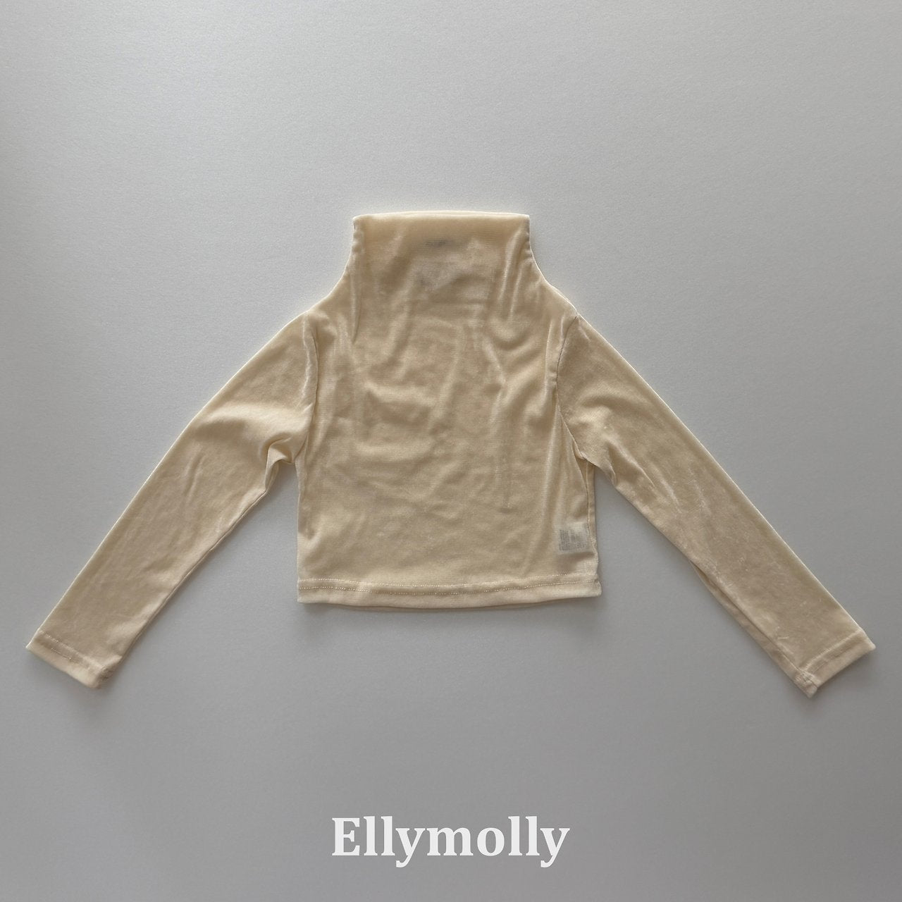 Elly Molly Velvet Mesh Half Turtleneck