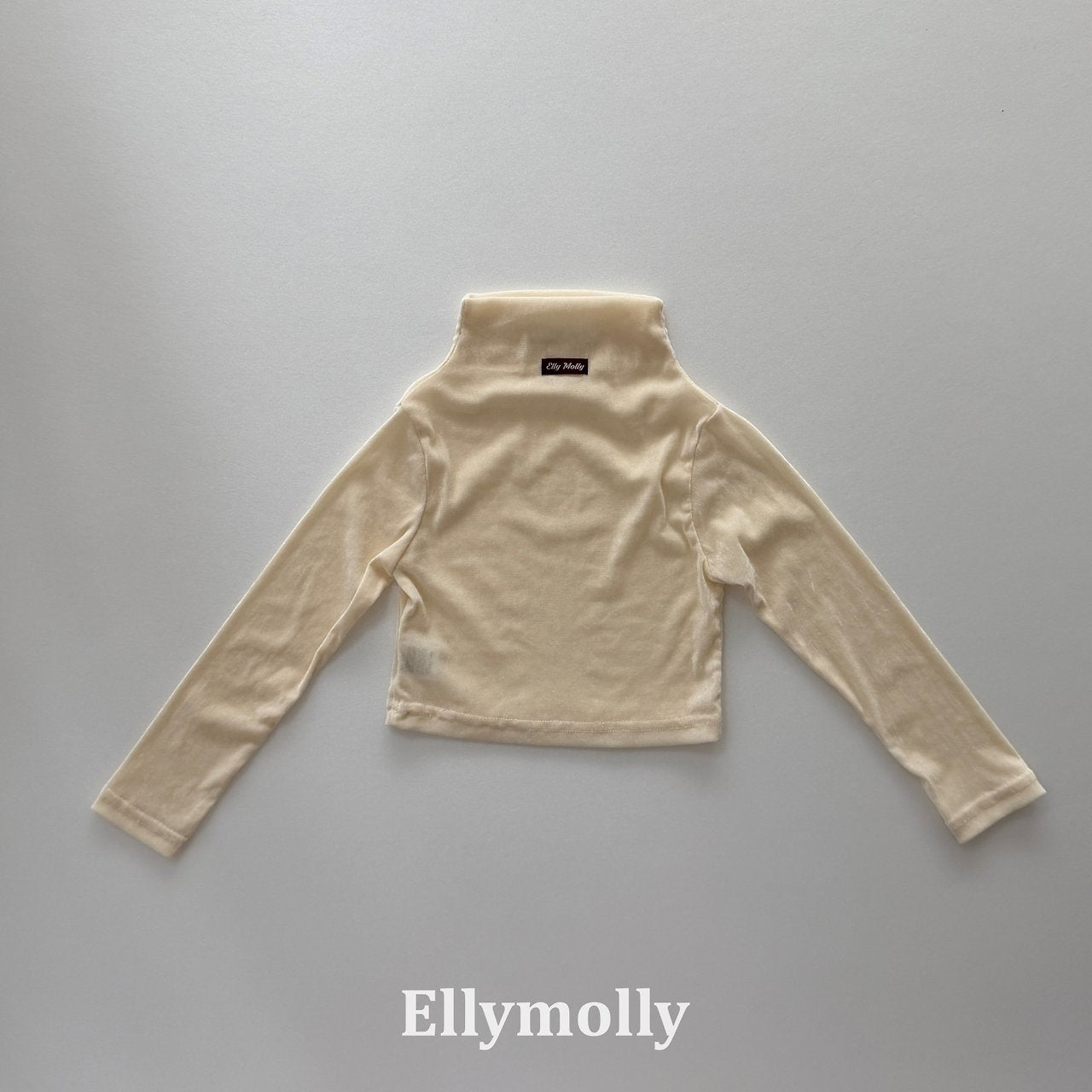 Elly Molly Velvet Mesh Half Turtleneck