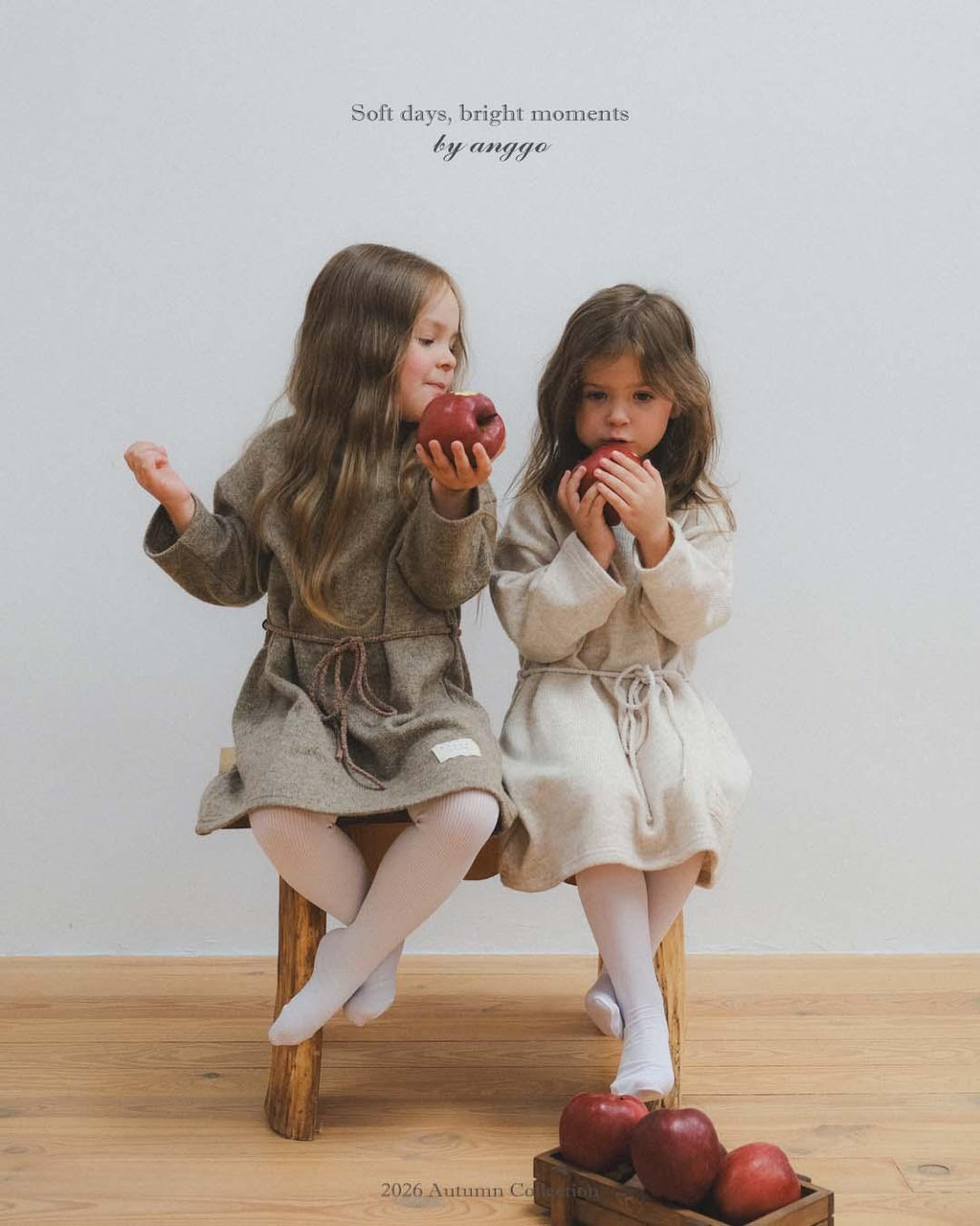 anggo Souffle Dress