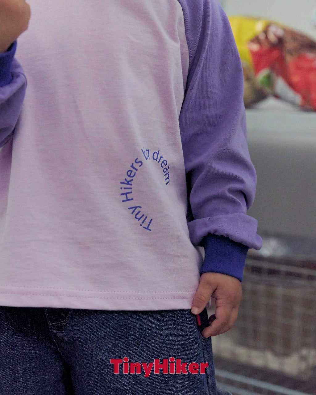Tiny Hiker Big Dreamy Raglan Tee