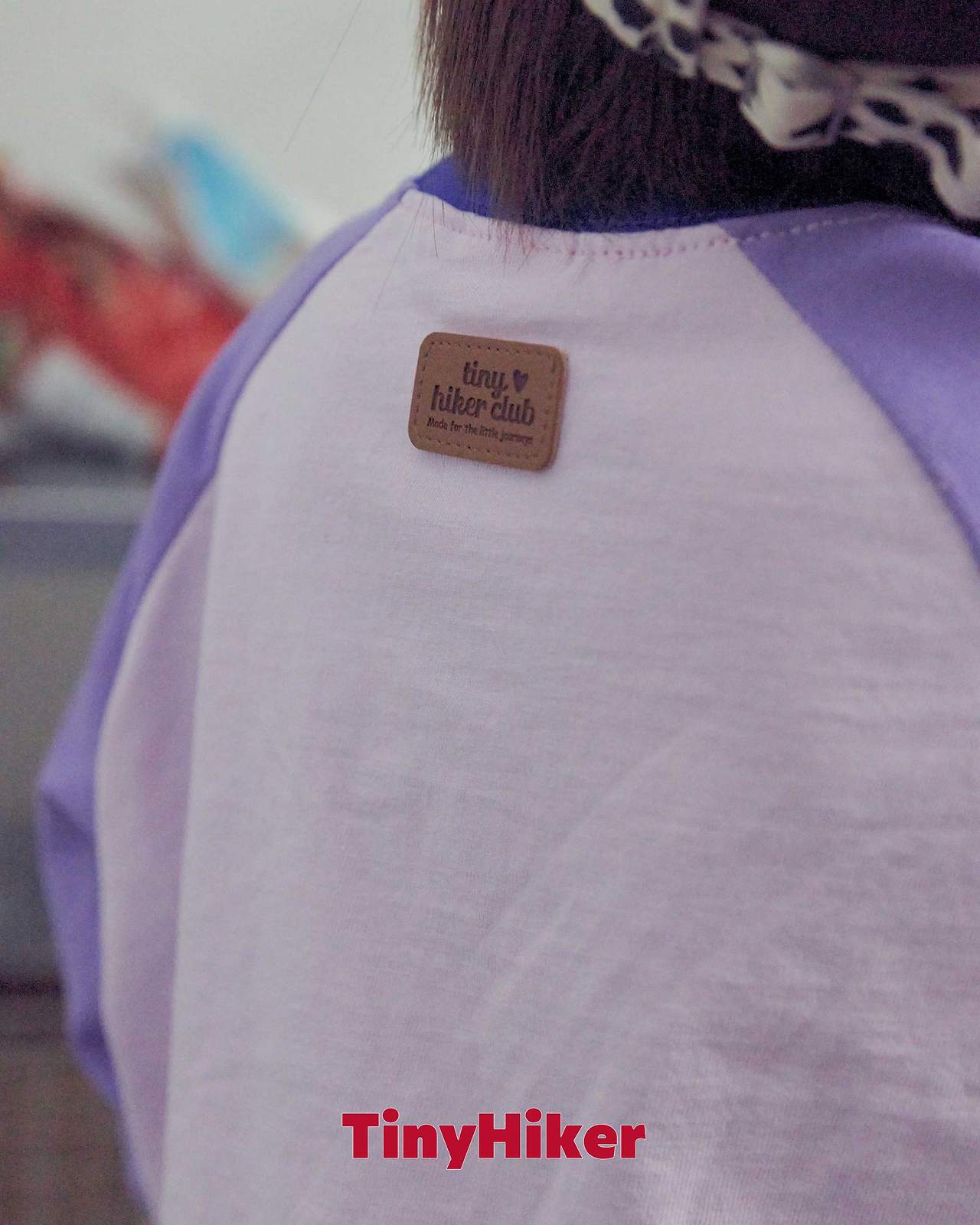 Tiny Hiker Big Dreamy Raglan Tee